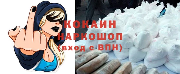 apvp Алексин