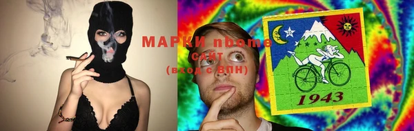 apvp Алексин