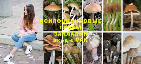 амф Алексеевка