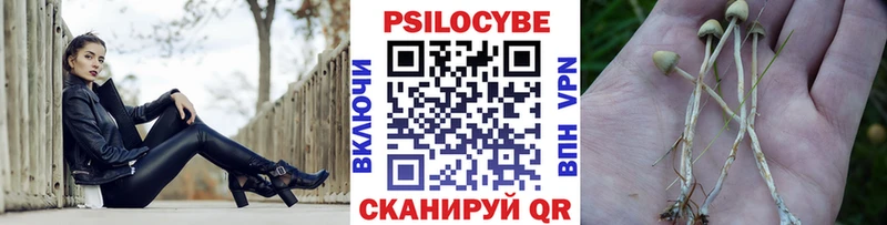 Псилоцибиновые грибы ЛСД купить блэк спрут ССЫЛКА Усть-Кут